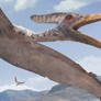 Pteranodon photomanipulation