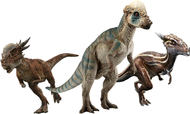 Pachycephalosaurs By Kingrexy On Deviantart