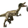 Velociraptor photomanipulation