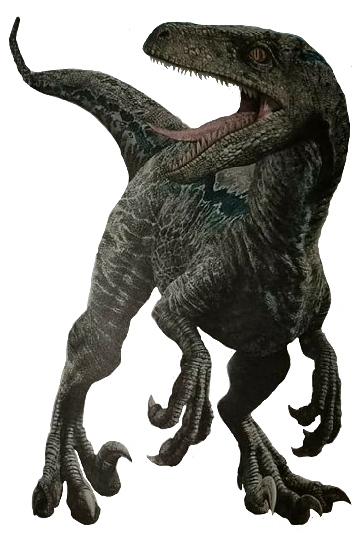 Unused Velociraptor Render By Kingrexy On Deviantart 