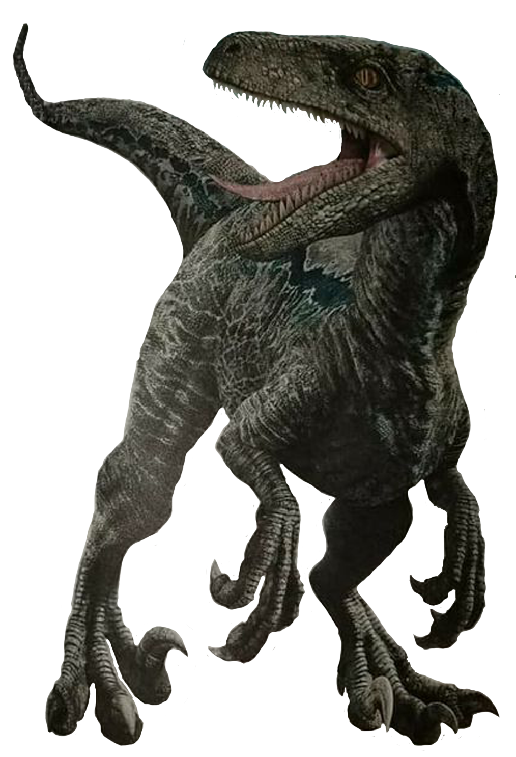 Unused velociraptor render by kingrexy on DeviantArt