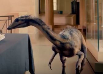 All BBC JellyFish studios creatures by kingrexy on DeviantArt