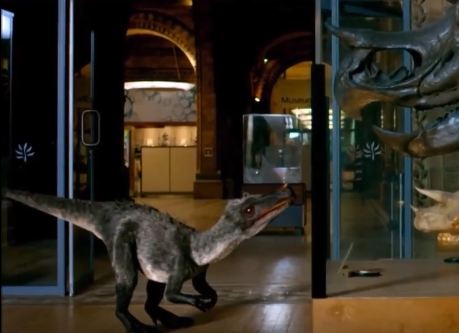 All BBC JellyFish studios creatures by kingrexy on DeviantArt