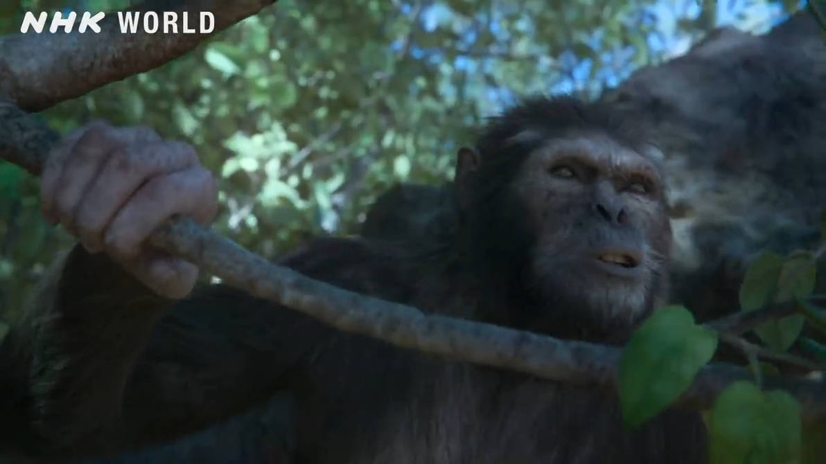 Tyrannosaurus Rex vs Mammoth NHK documentaries all creatures by kingrexy on DeviantArt Tyrannosaurus Rex vs Mammoth NHK documentaries all creatures by kingrexy on DeviantArt