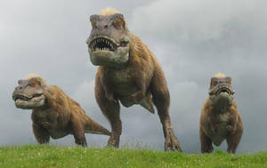 Tyrannosaurus Rex vs Mammoth NHK documentaries all creatures by kingrexy on DeviantArt Tyrannosaurus Rex vs Mammoth NHK documentaries all creatures by kingrexy on DeviantArt