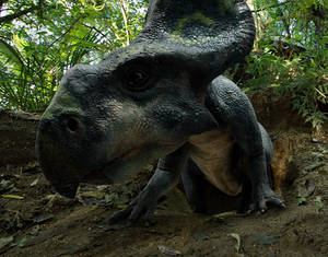 Tyrannosaurus Rex vs Mammoth NHK documentaries all creatures by kingrexy on DeviantArt Tyrannosaurus Rex vs Mammoth NHK documentaries all creatures by kingrexy on DeviantArt