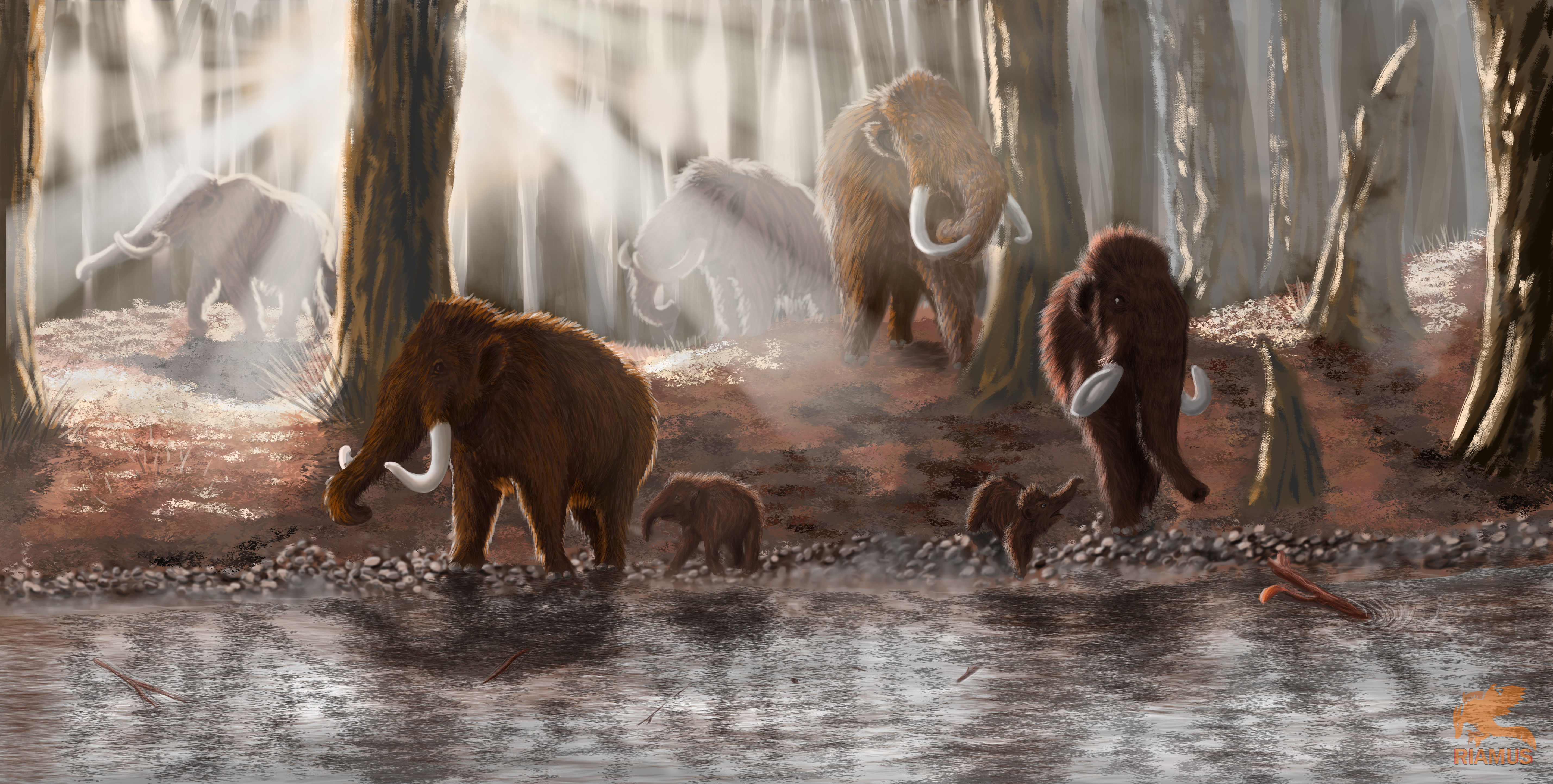 Commission 19 - Wrangel Island Mammoths