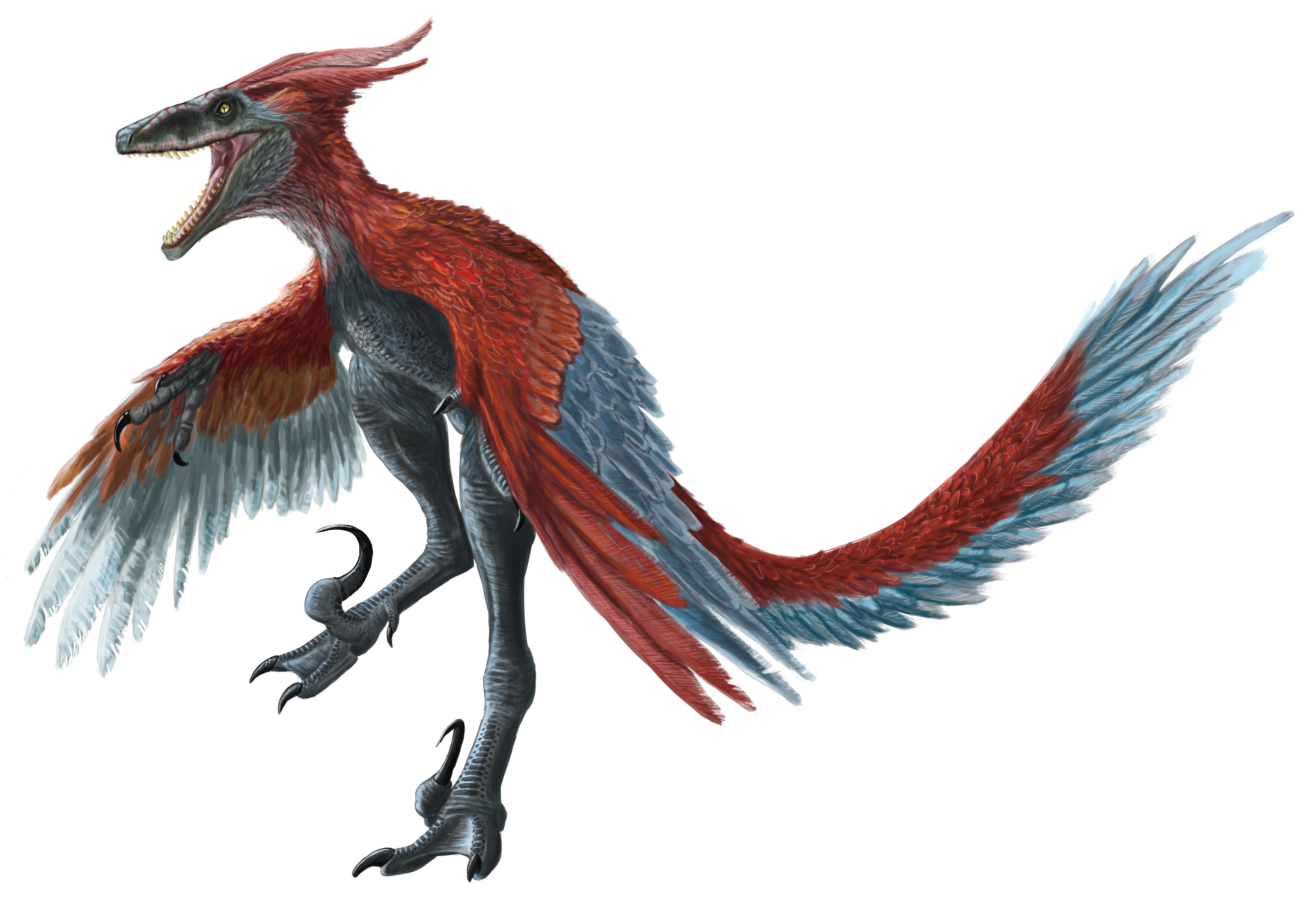 Pyroraptor by Toon-Rex on DeviantArt