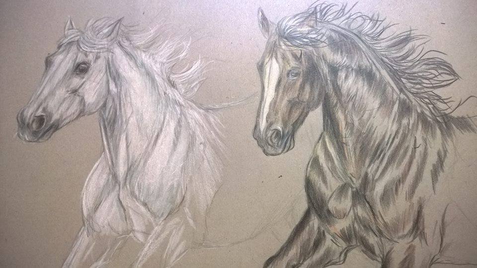 Horses