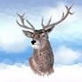 Cool Deer