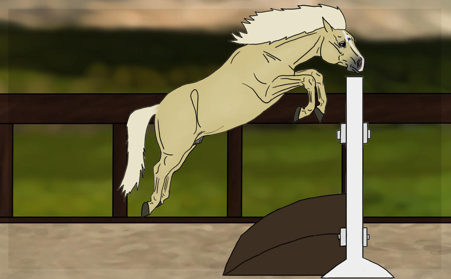 Deviantart Animal Jumping Free Jumping by WB-Equine-Art on DeviantArt