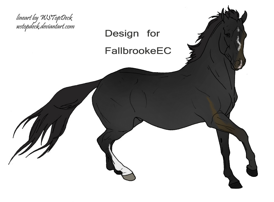 FallBrookeEC Design Comp :)