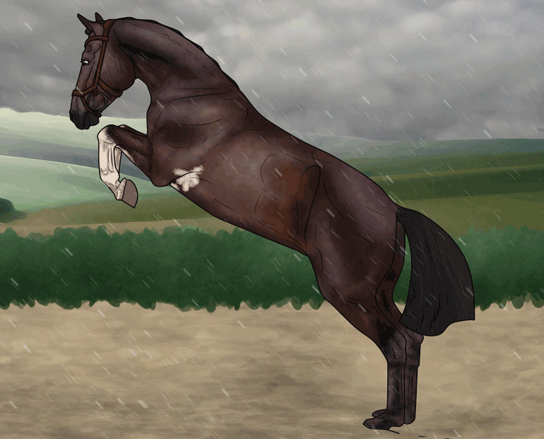 Deviantart Animal Jumping Free Jumping Entry by WB-Equine-Art on DeviantArt