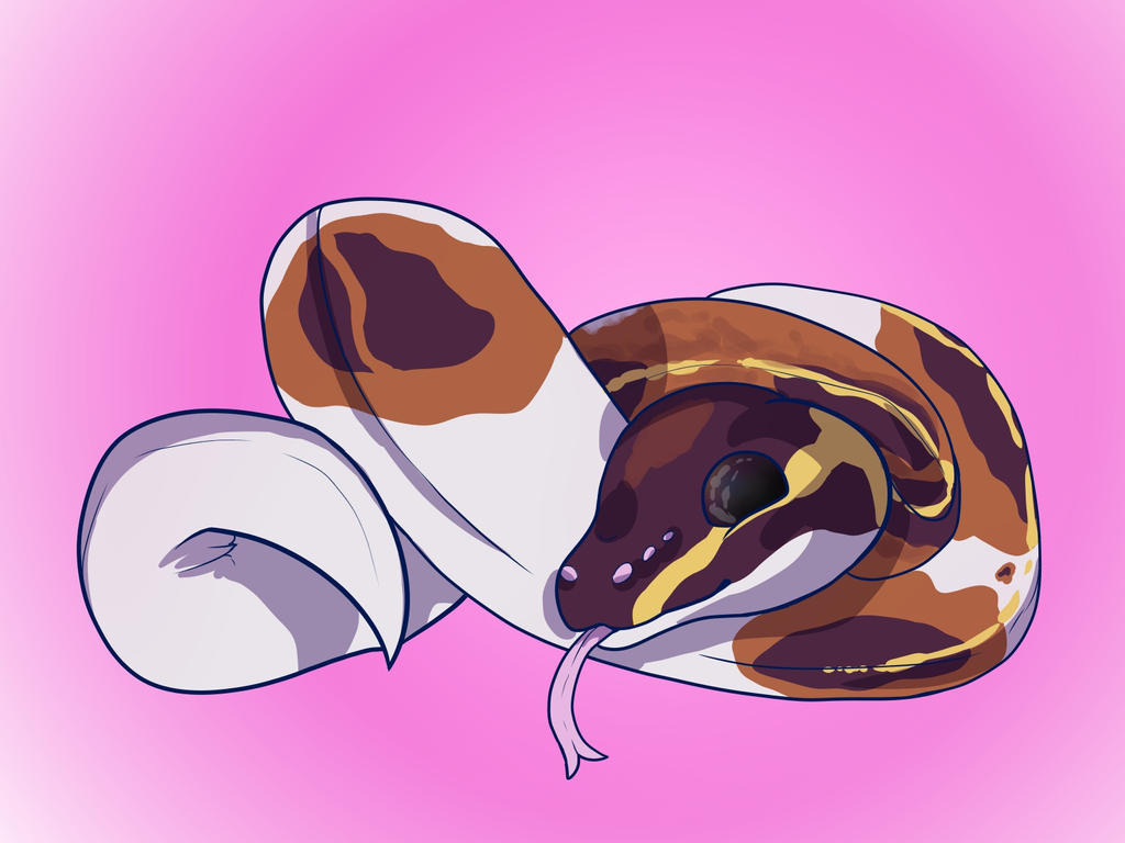 Ball Python by whiteclaw001 on DeviantArt