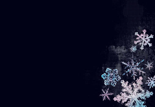 winter wallpaper