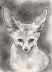 Fennec by Ventus-AmaraOri