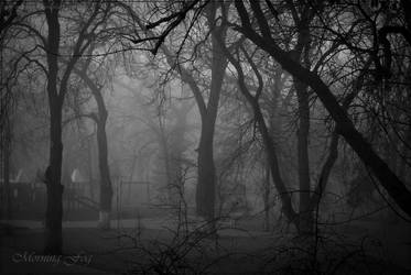 Morning fog... by nox-moonLover