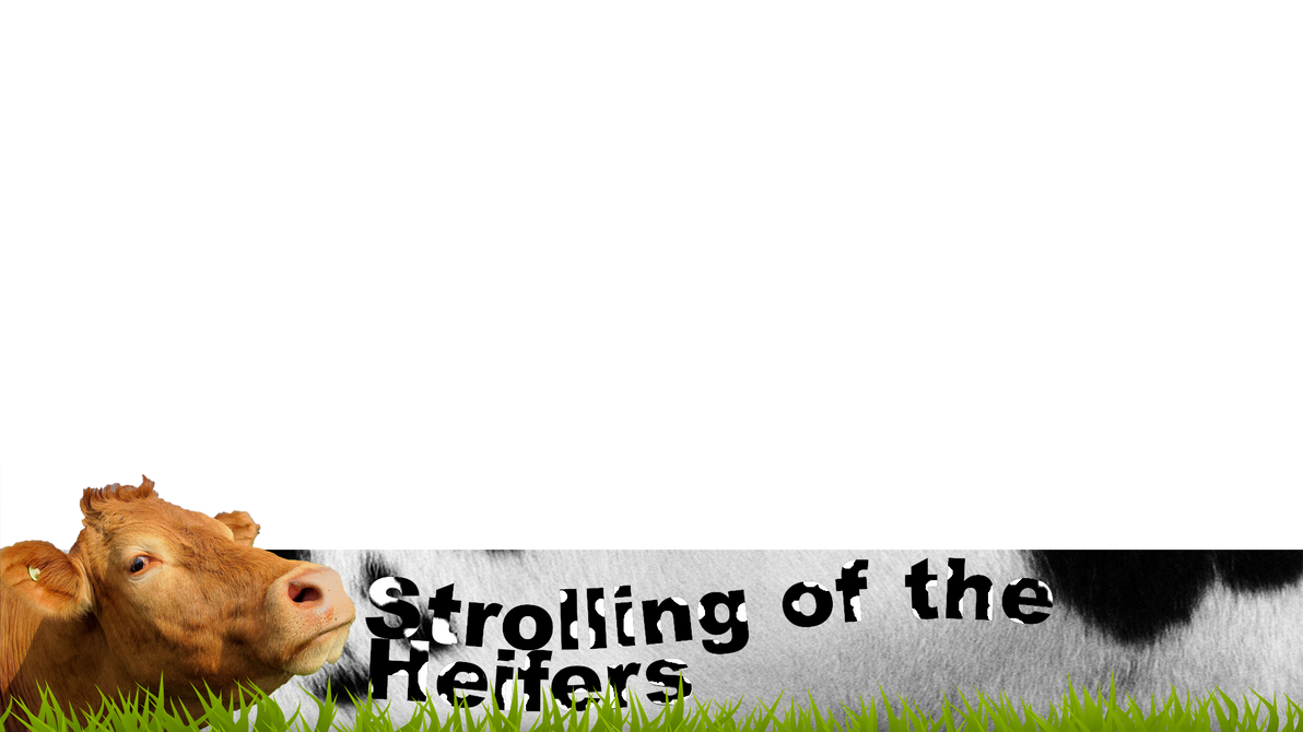 Strolling of the Heifers (Lower Third Graphic) by Peekofwar