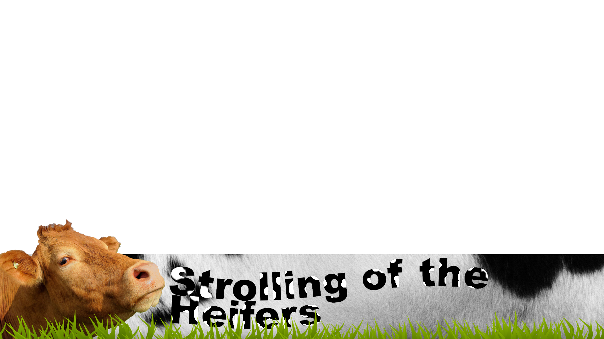 Strolling of the Heifers (Lower Third Graphic) by Peekofwar