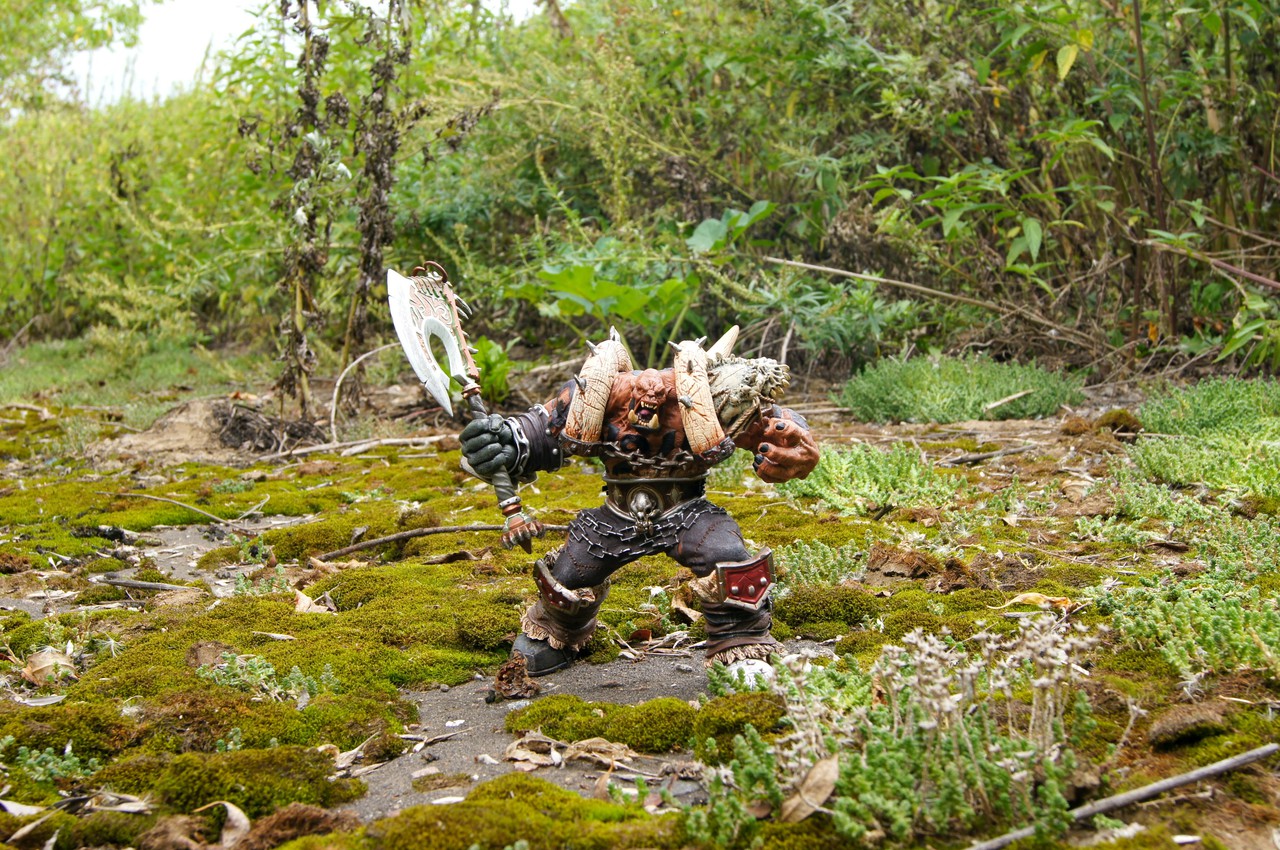 Garrosh in nature