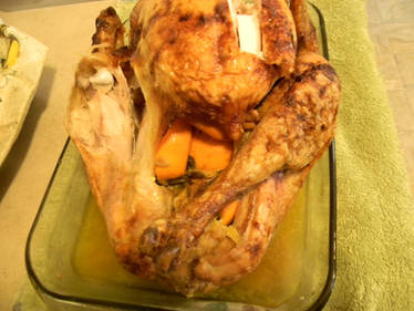 Thanksgiving Orange and Sage Stuffed Turkey Rear