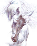 Wind Dancer by ArtbySandiJohnson Wind Dancer by ArtbySandiJohnson