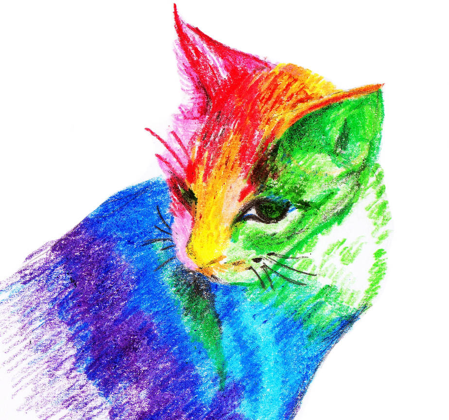 Кот рисунок цветной. Кошки цветные. Разноцветная кошка. Радужные кошки. Живопись цветными карандашами.