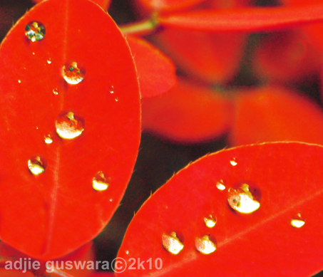 RED after rain