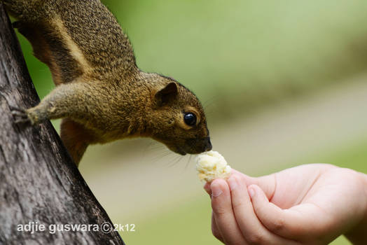 Kissing the Food