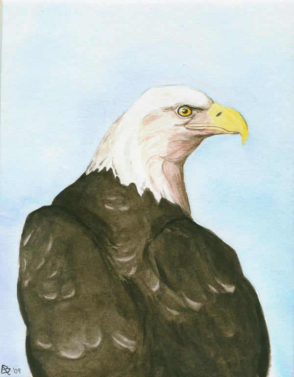 Freedom Eagle