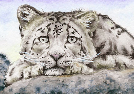 Snow Leopard ATC