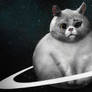 Cat On Space