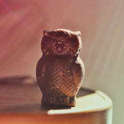 Chocolate owl