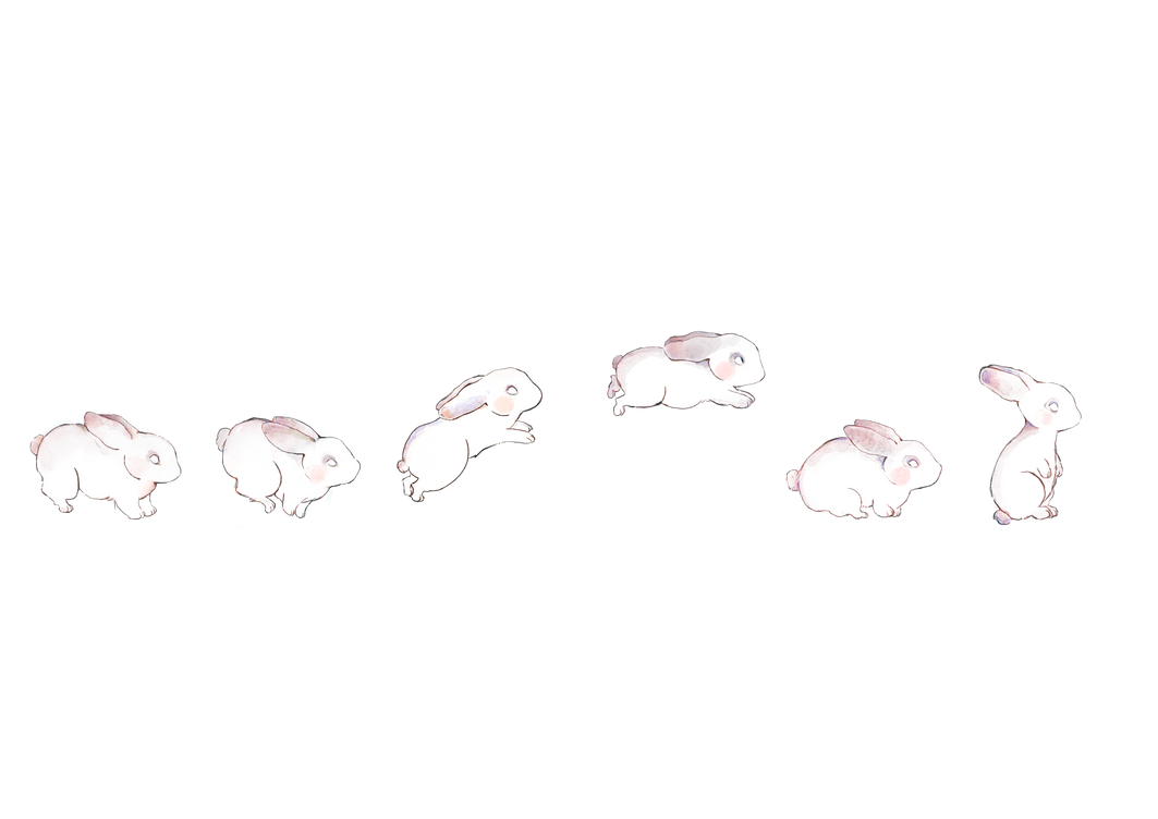 Jumping Bunny Draw by yasmintamai on DeviantArt
