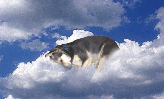 Sleepin' On The Clouds