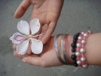 Flower in my hands