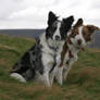 The girls - Pennine series