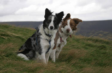 The girls - Pennine series