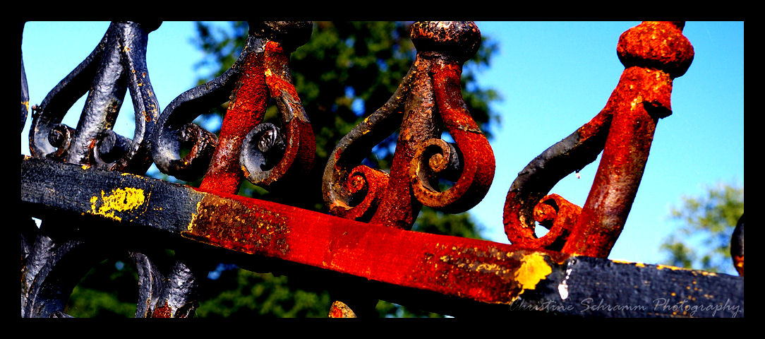 Rusted Fence