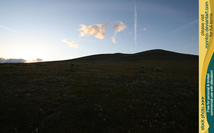 Hillside 11 by RoonToo