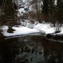 Pond in winter 1