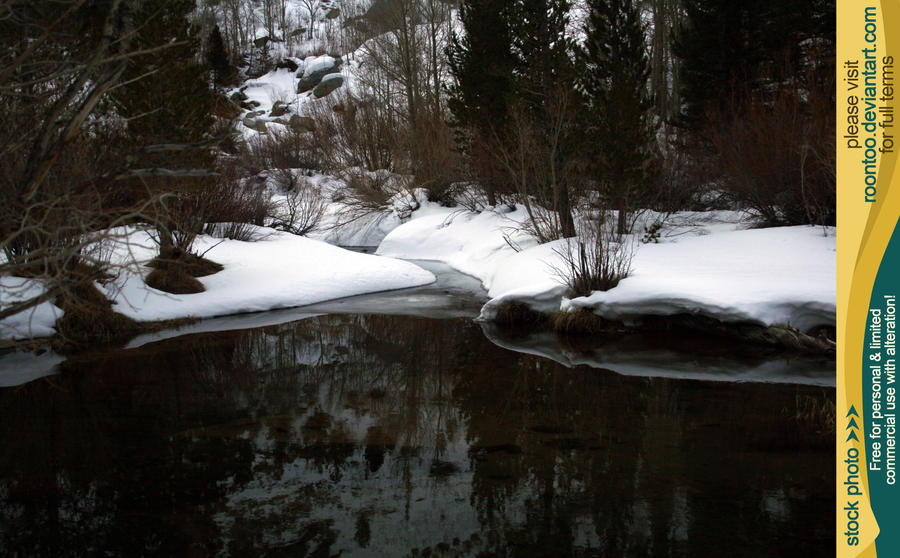 Pond in winter 1