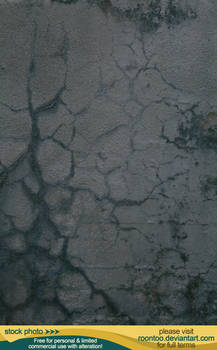 Cracked concrete 4