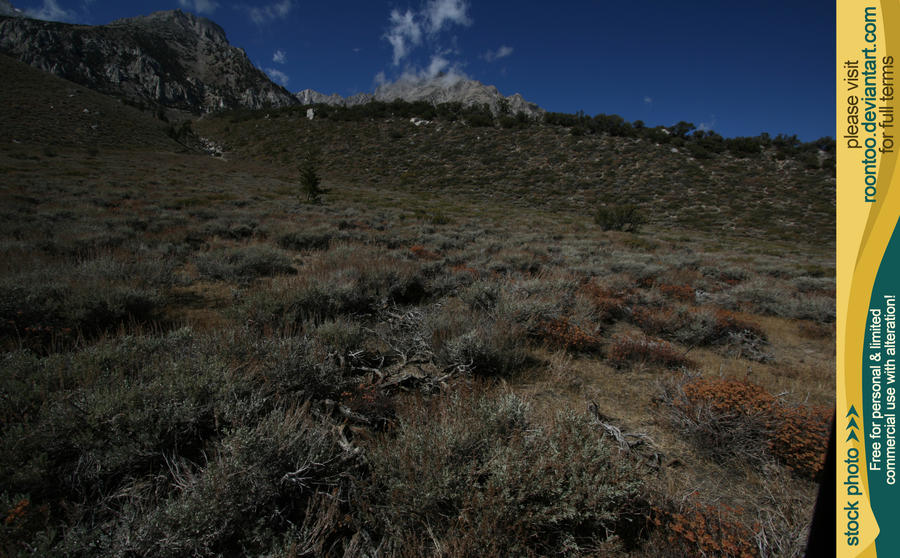 Sierra Nevada 05 by RoonToo