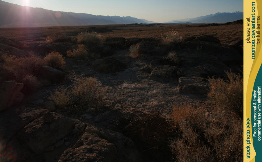 Tablelands 55