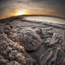 Dreams from Underworld - 15