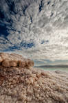 Salt Symphony by DaniBabitz