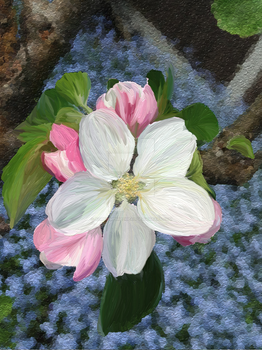 Apple Blossom with Forget Me Nots