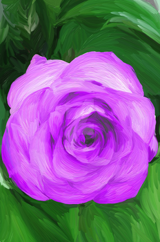 Draft version of Purple Rose