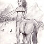 Pinto Centaur